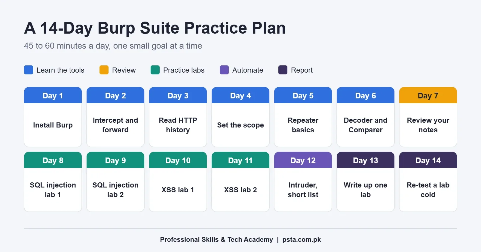 Two-week Burp Suite practice calendar from installing Burp to writing up a lab